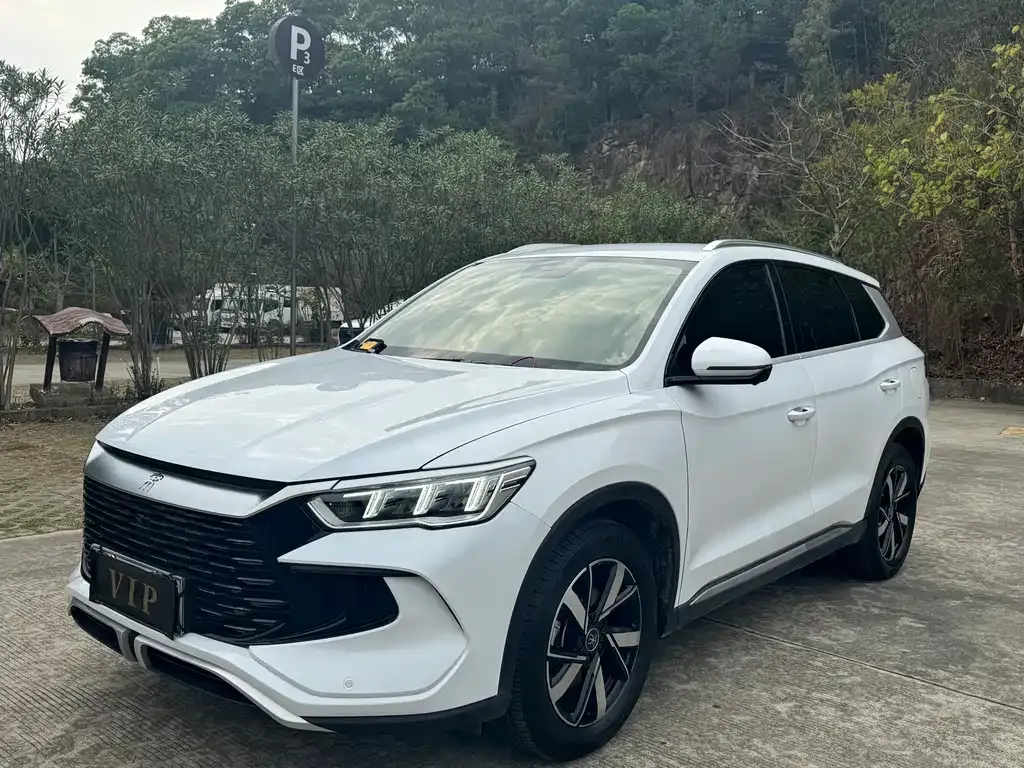 BYD Pro New Energy — фото 1