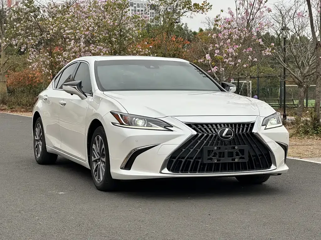 Lexus ES 2023 из CN, фото 5