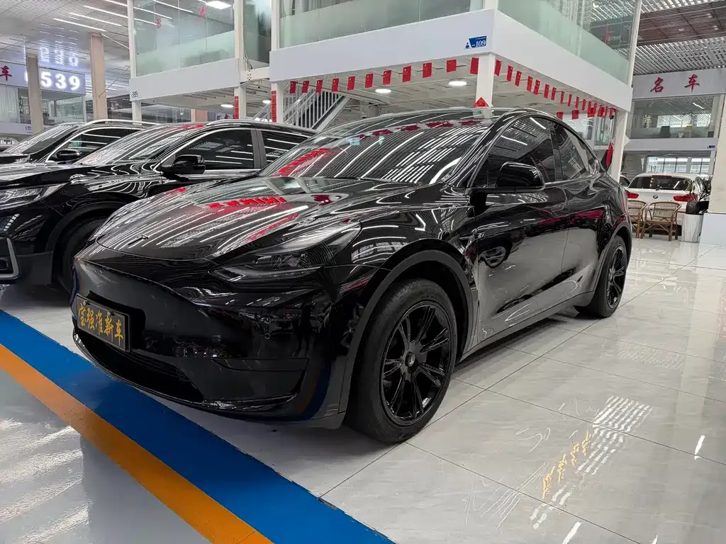 Tesla Model Y 2024 из CN, фото 6