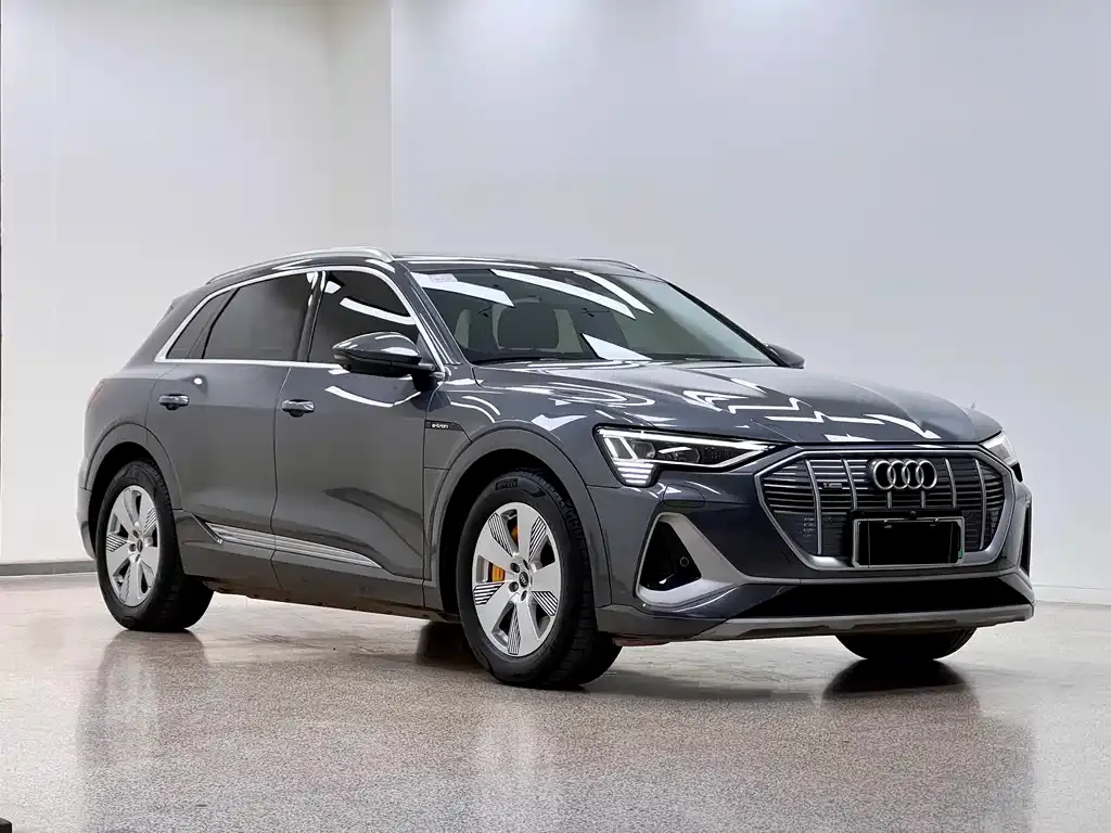 Audi e-tron 2023 из CN, фото 2