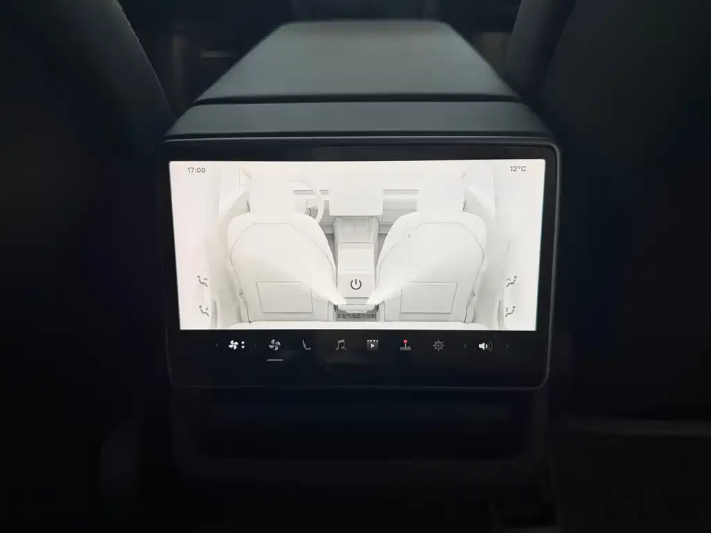 Tesla Model 3 2024 из CN, фото 2