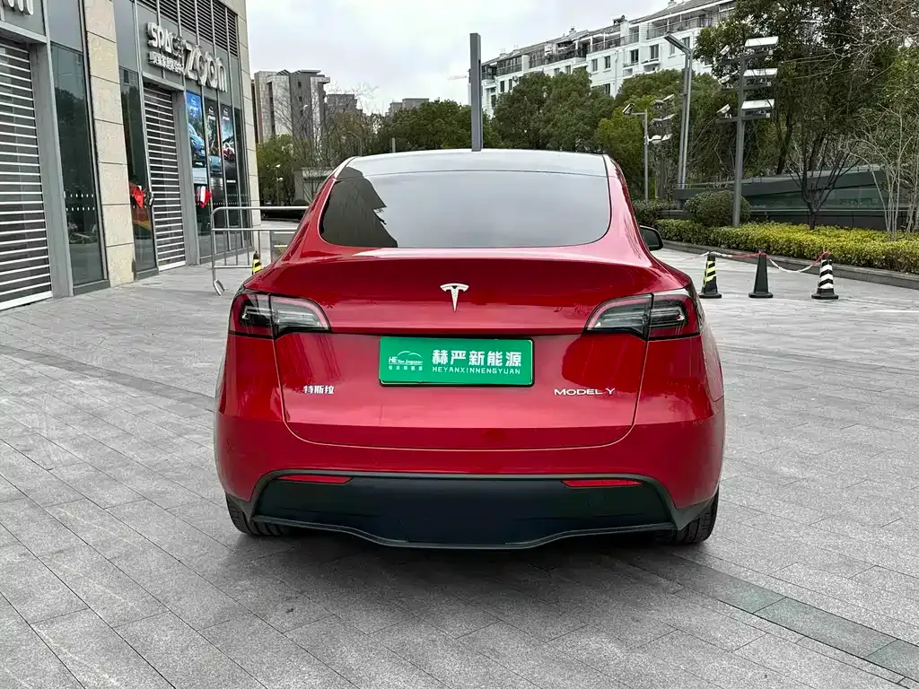Tesla Model Y — фото 3