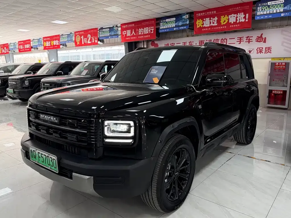 Haval Menglong New Energy — фото 1
