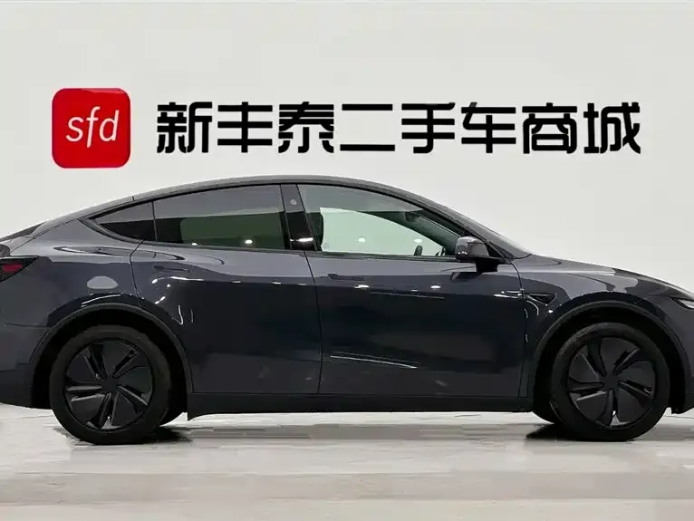 Tesla Model Y 2025 из CN, фото 2