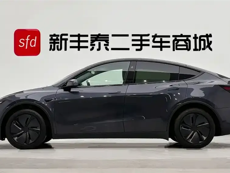 Tesla Model Y 2025 из CN, фото 3