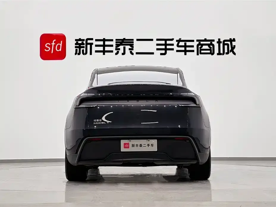 Tesla Model Y 2025 из CN, фото 6