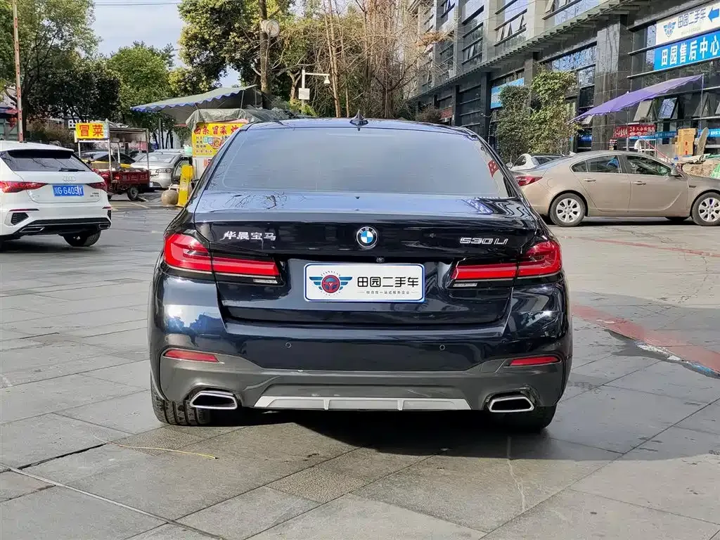BMW 5 Series 2022 из CN, фото 6