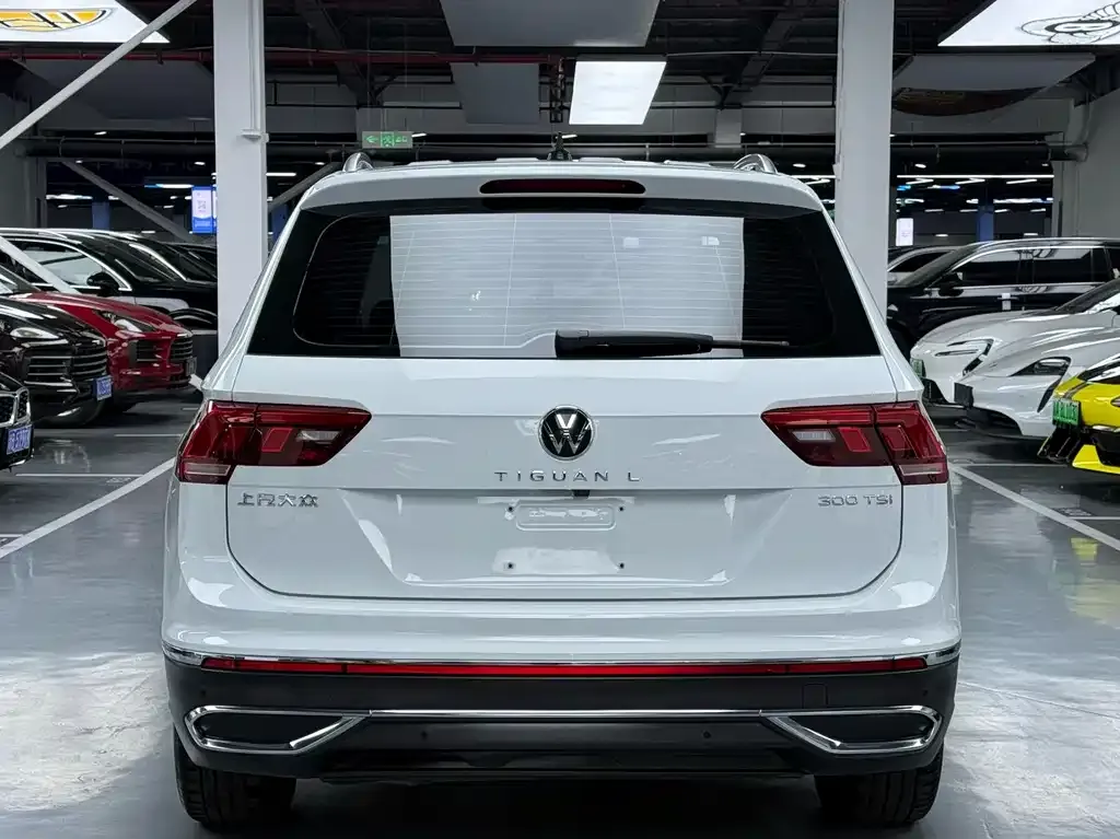 Volkswagen Tiguan L 2023 из CN, фото 8
