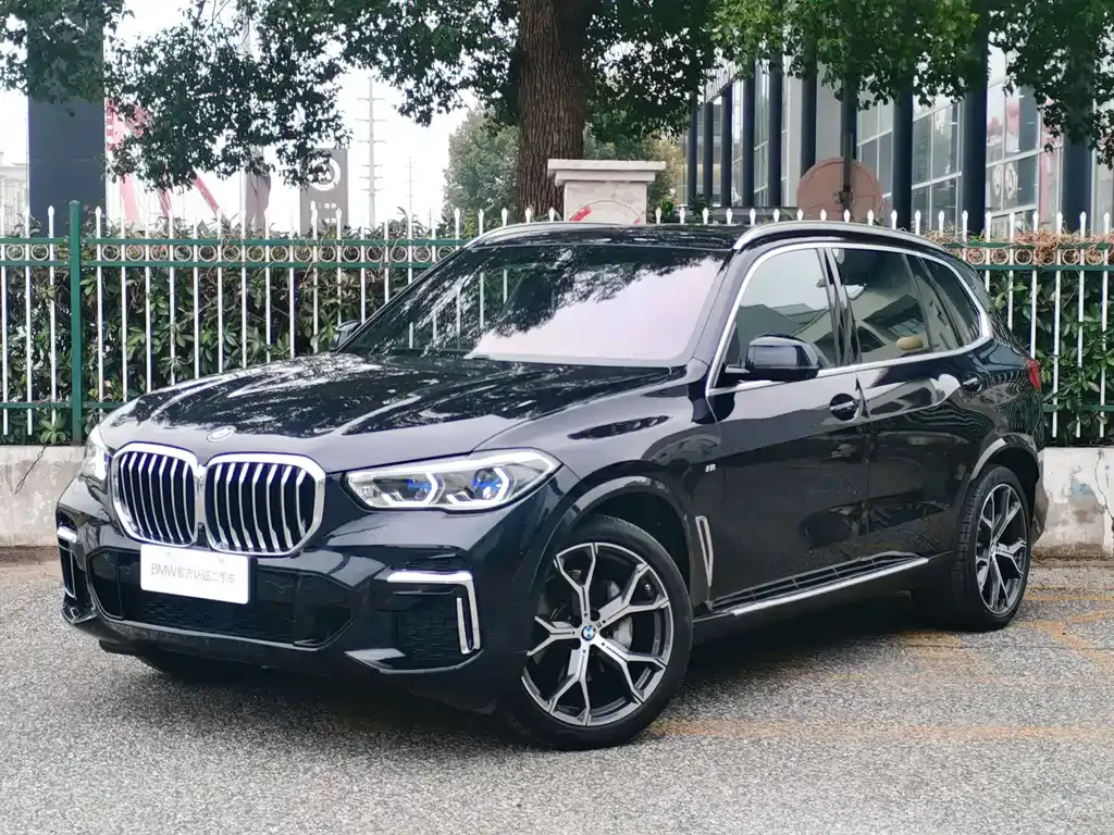 BMW X5 2022 из CN, фото 1