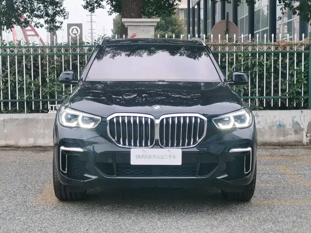 BMW X5 2022 из CN, фото 10