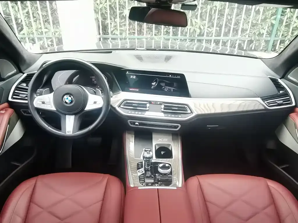 BMW X5 2022 из CN, фото 5