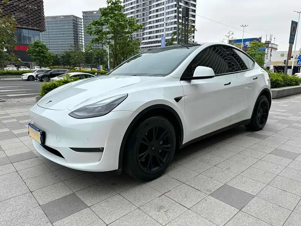 Tesla Model Y — фото 1