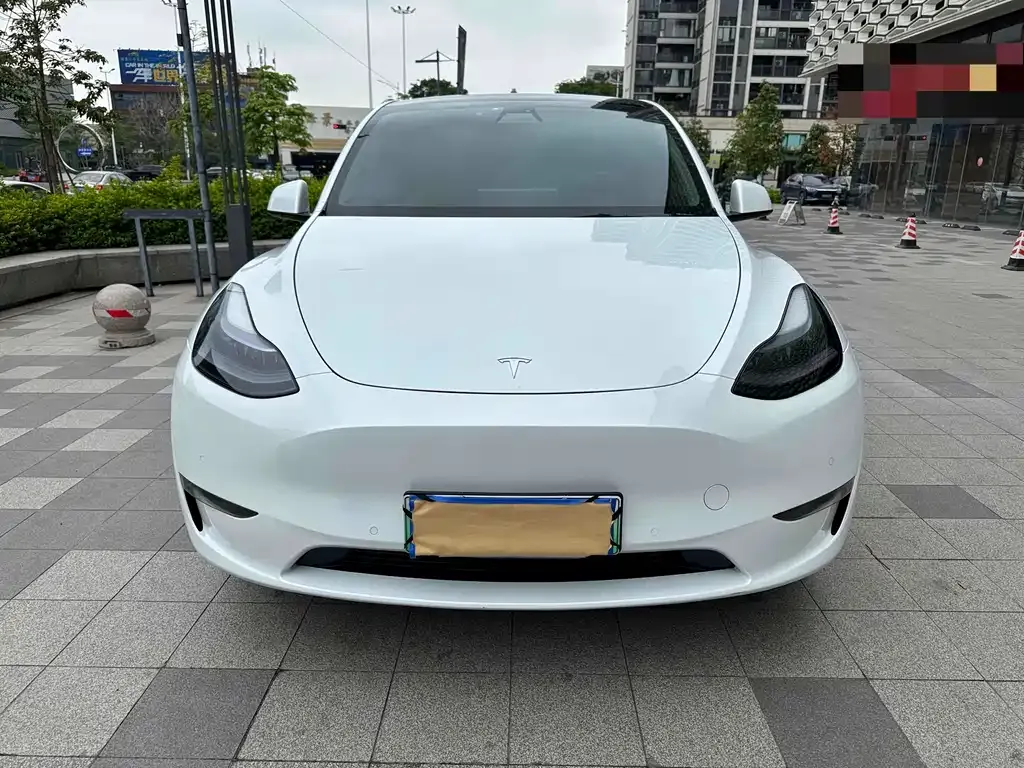 Tesla Model Y — фото 10
