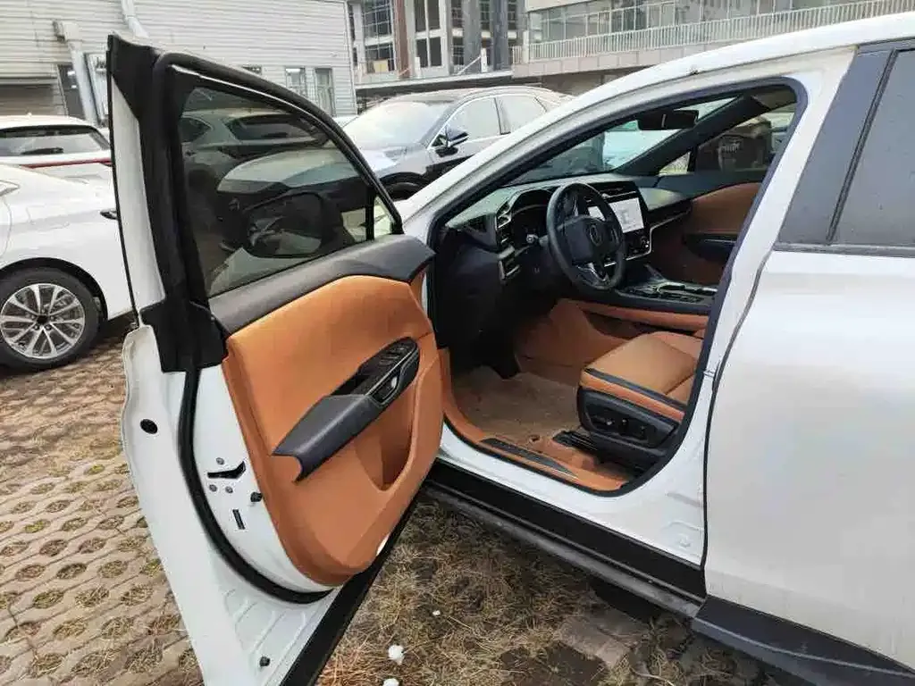 Lexus RZ 2023 из CN, фото 8