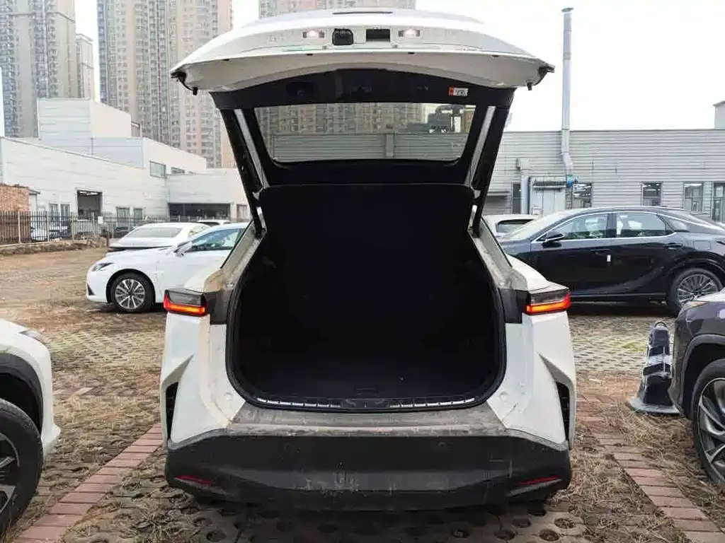 Lexus RZ 2023 из CN, фото 9