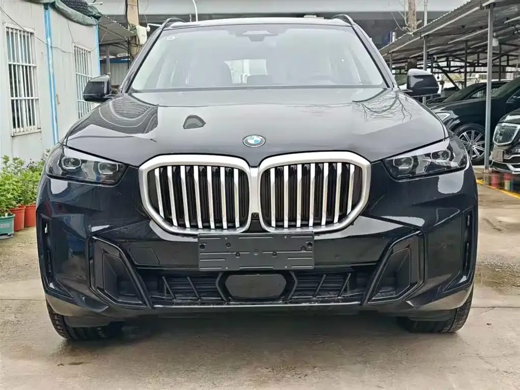 BMW X5 — фото 10