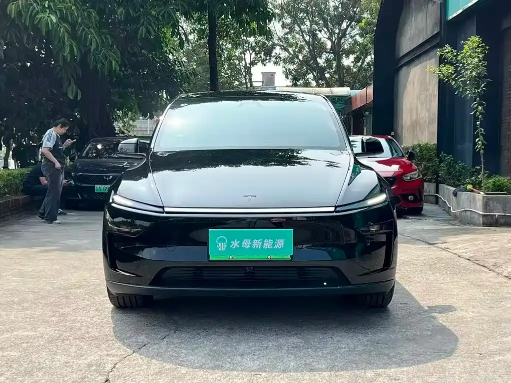 Tesla Model Y L 2025 из CN, фото 7