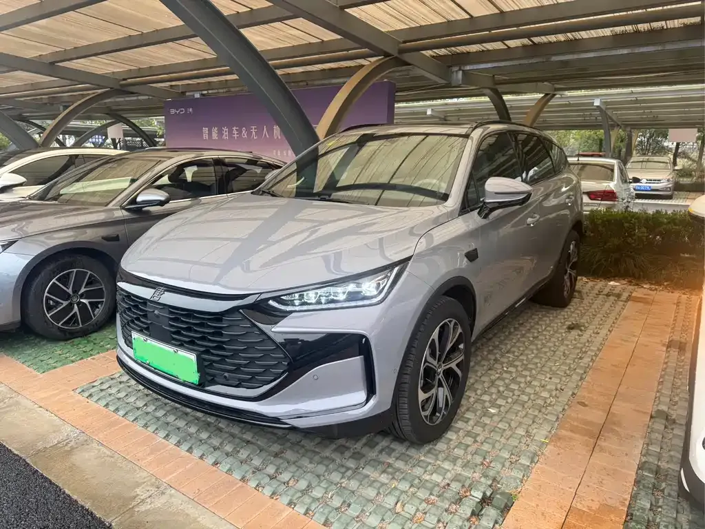 BYD Tang New Energy — фото 1