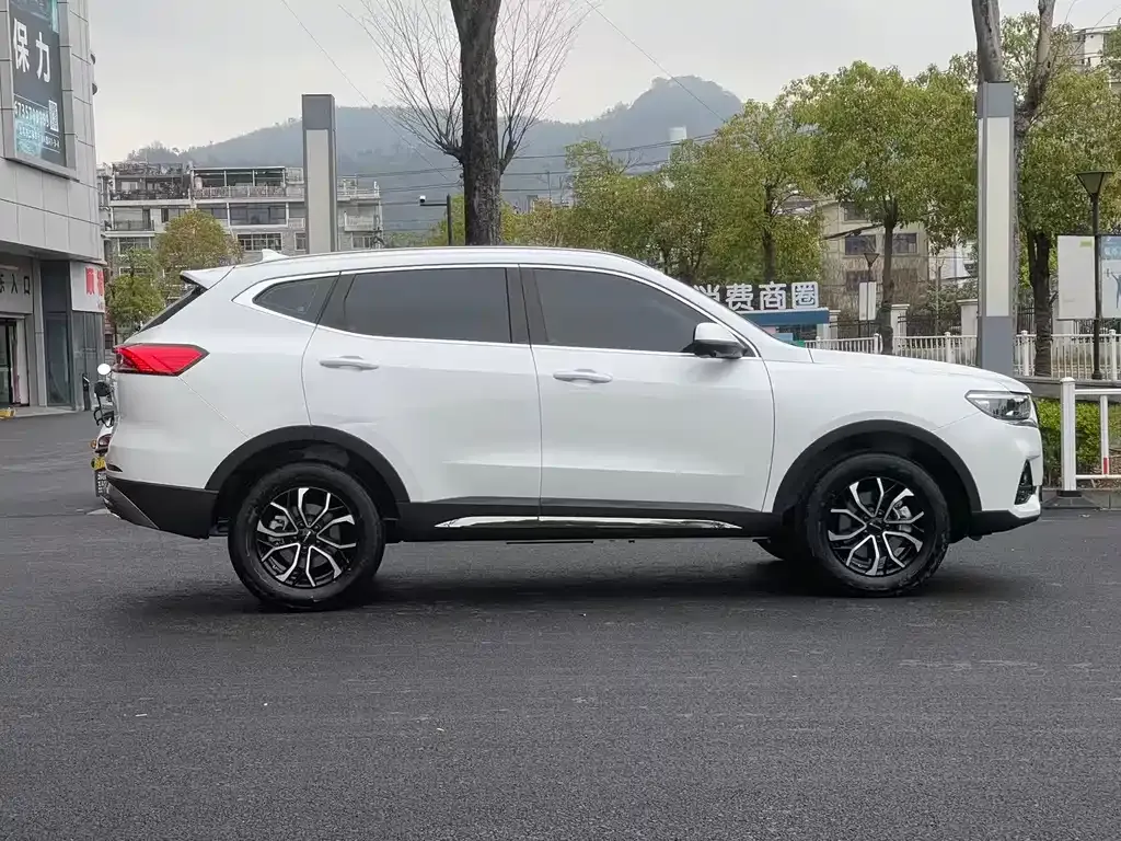 Haval H6 2025 из CN, фото 9
