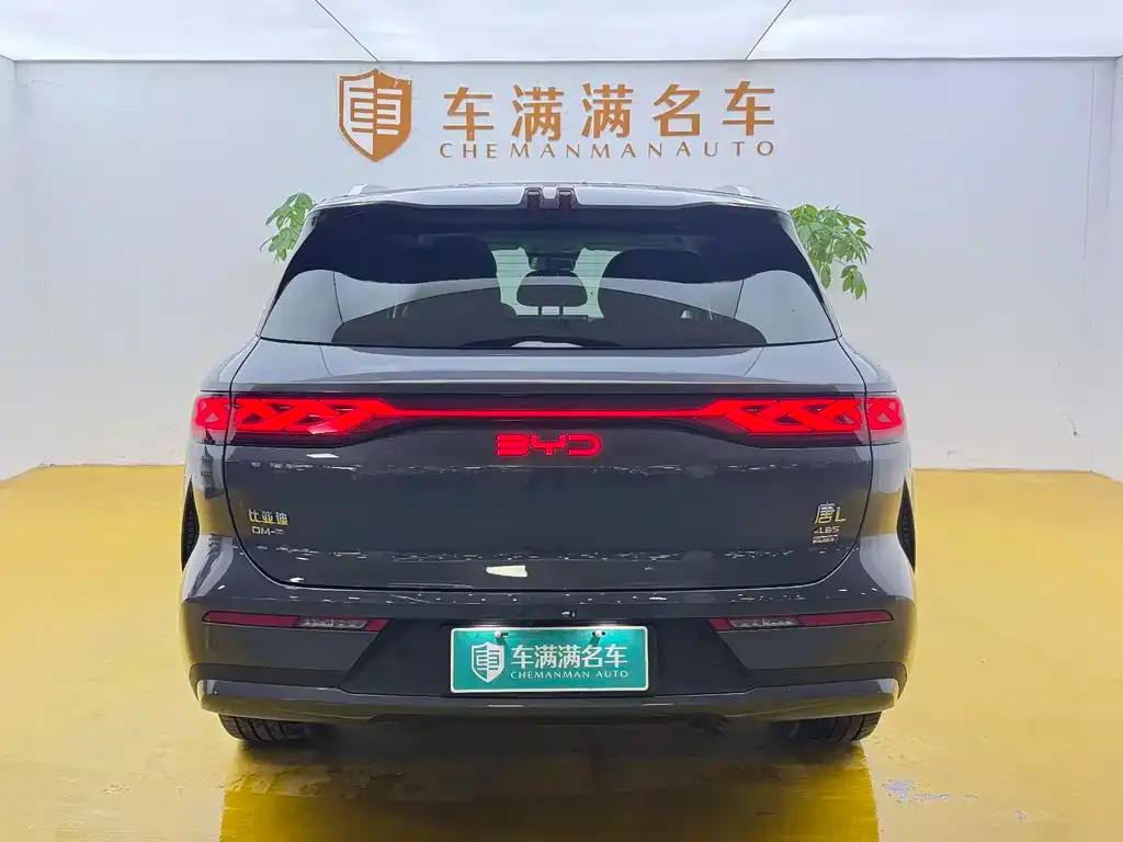 BYD Tang L — фото 3