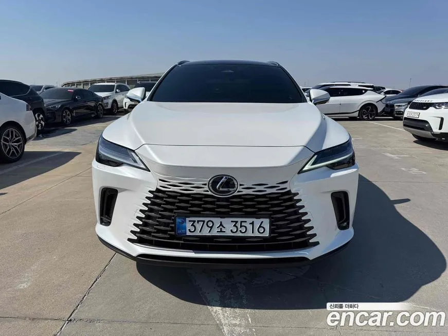 Lexus RX 2025 из KR, фото 3