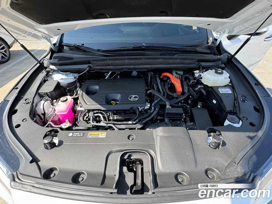 Lexus RX 2025 из KR, фото 9
