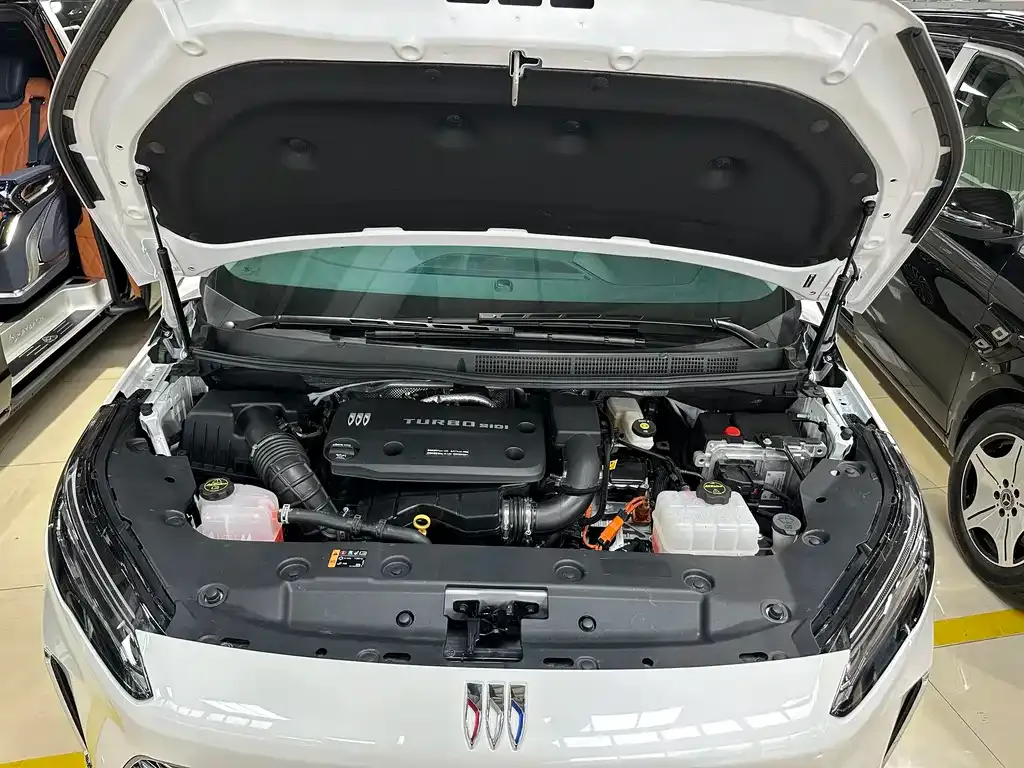 Buick GL8 Hybrid — фото 10