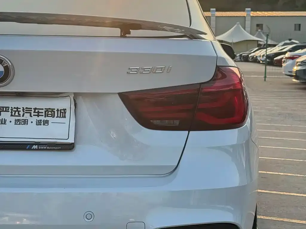 BMW 3 Series GT — фото 4