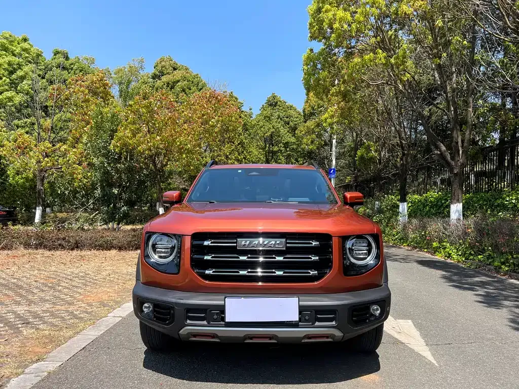 Haval Big Dog — фото 10