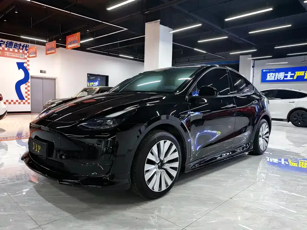 Tesla Model Y — фото 1