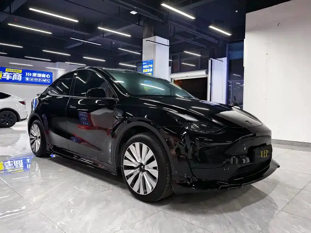 Tesla Model Y — фото 6