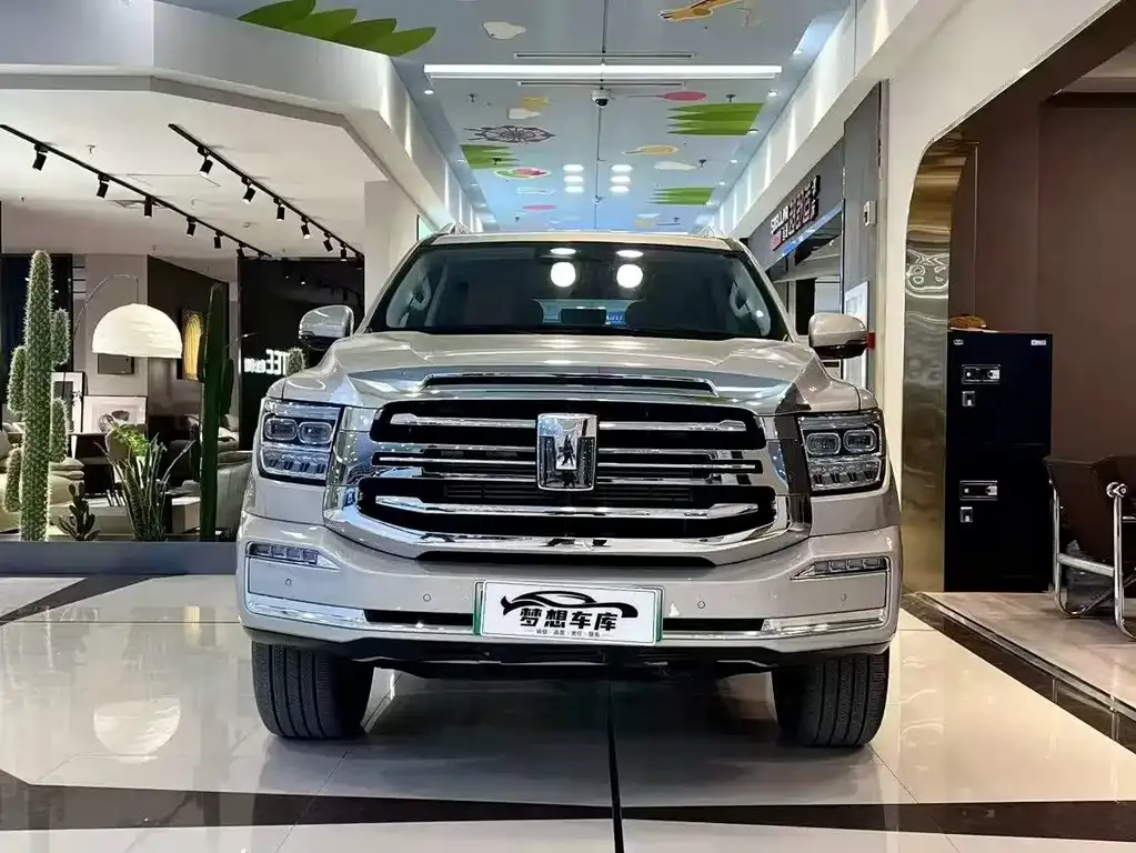 Tank 500 New Energy 2023 из CN, фото 7