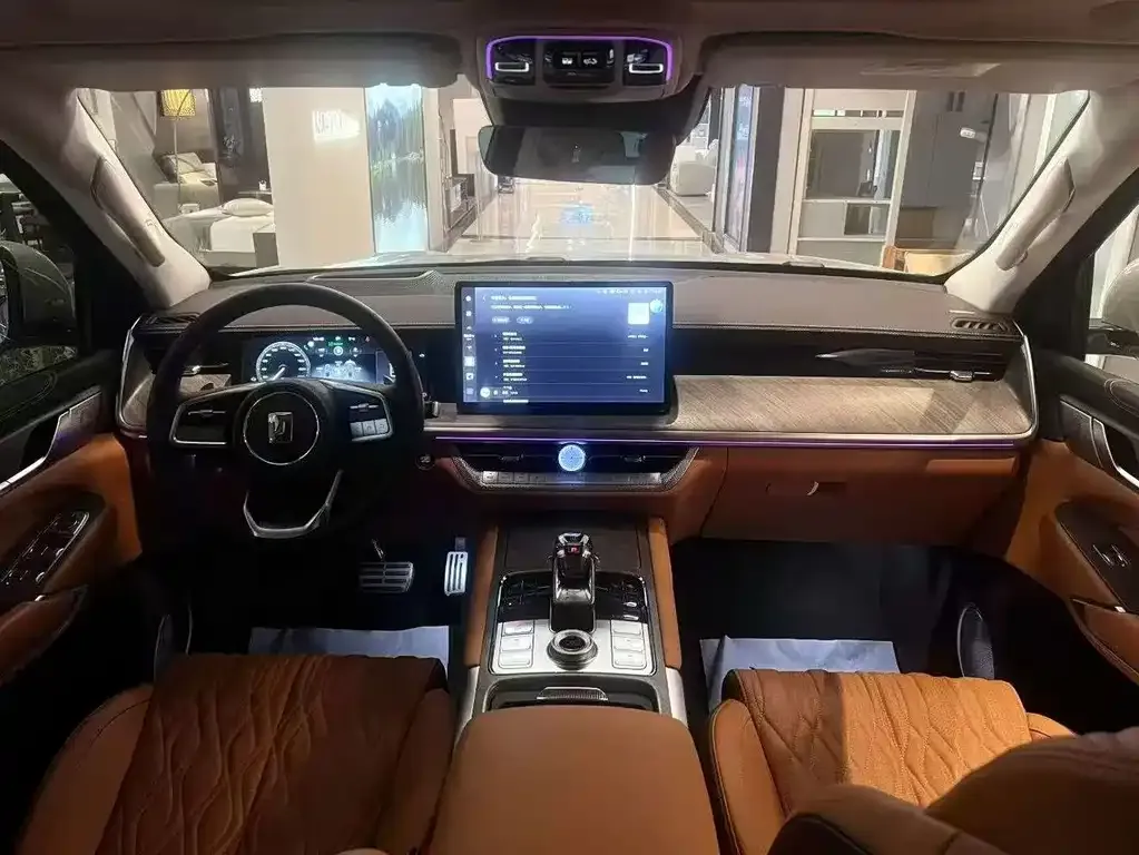 Tank 500 New Energy 2023 из CN, фото 9