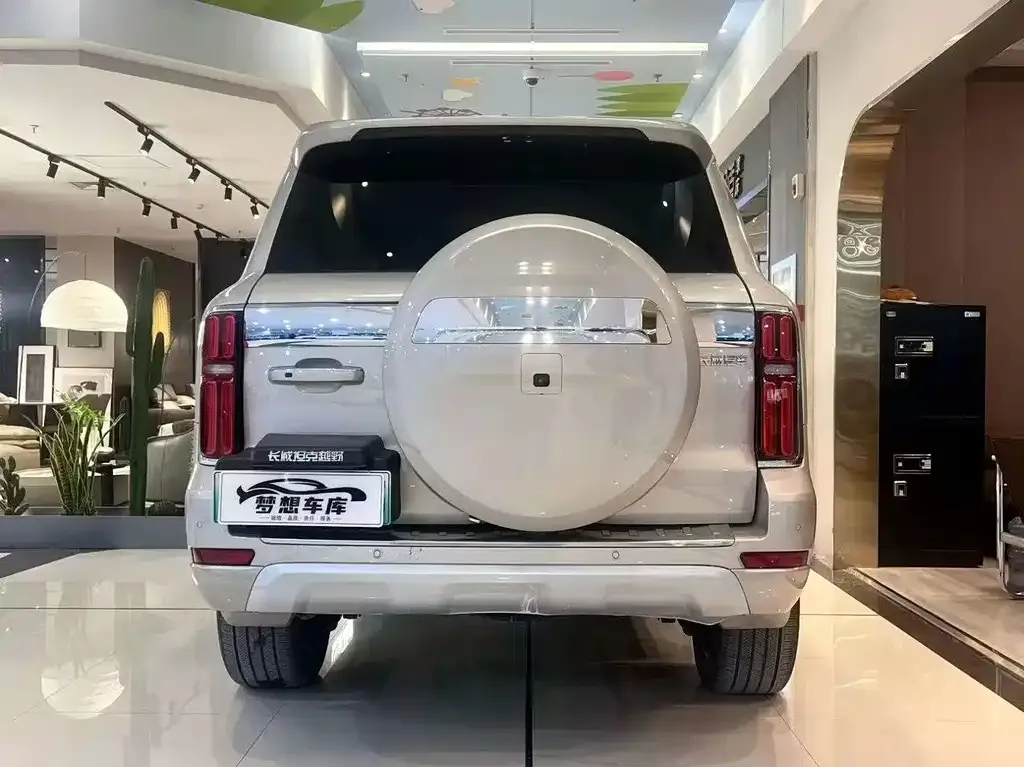 Tank 500 New Energy 2023 из CN, фото 3