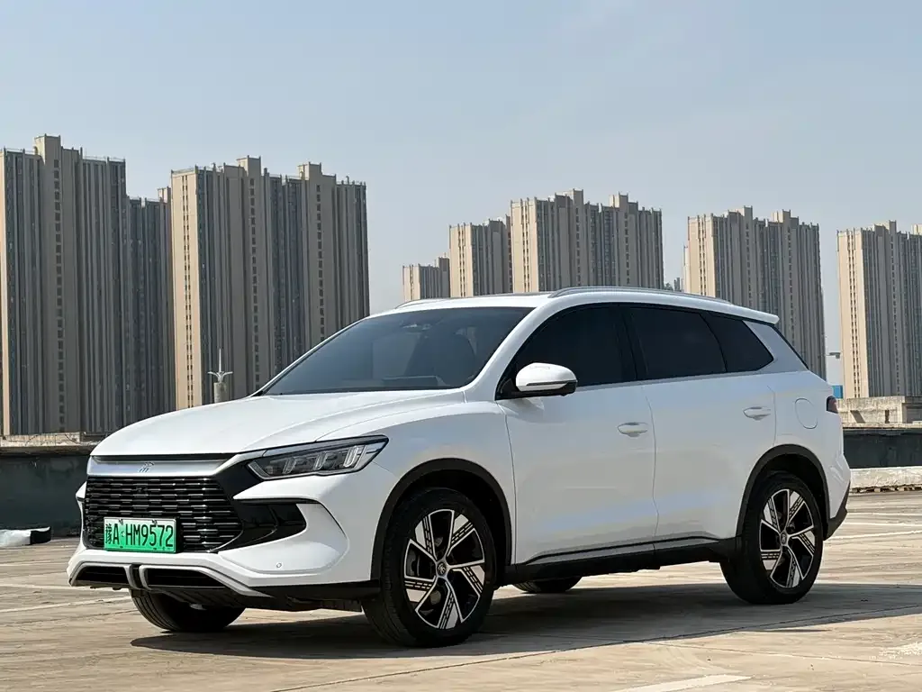 BYD Pro New Energy 2024 из CN, фото 1