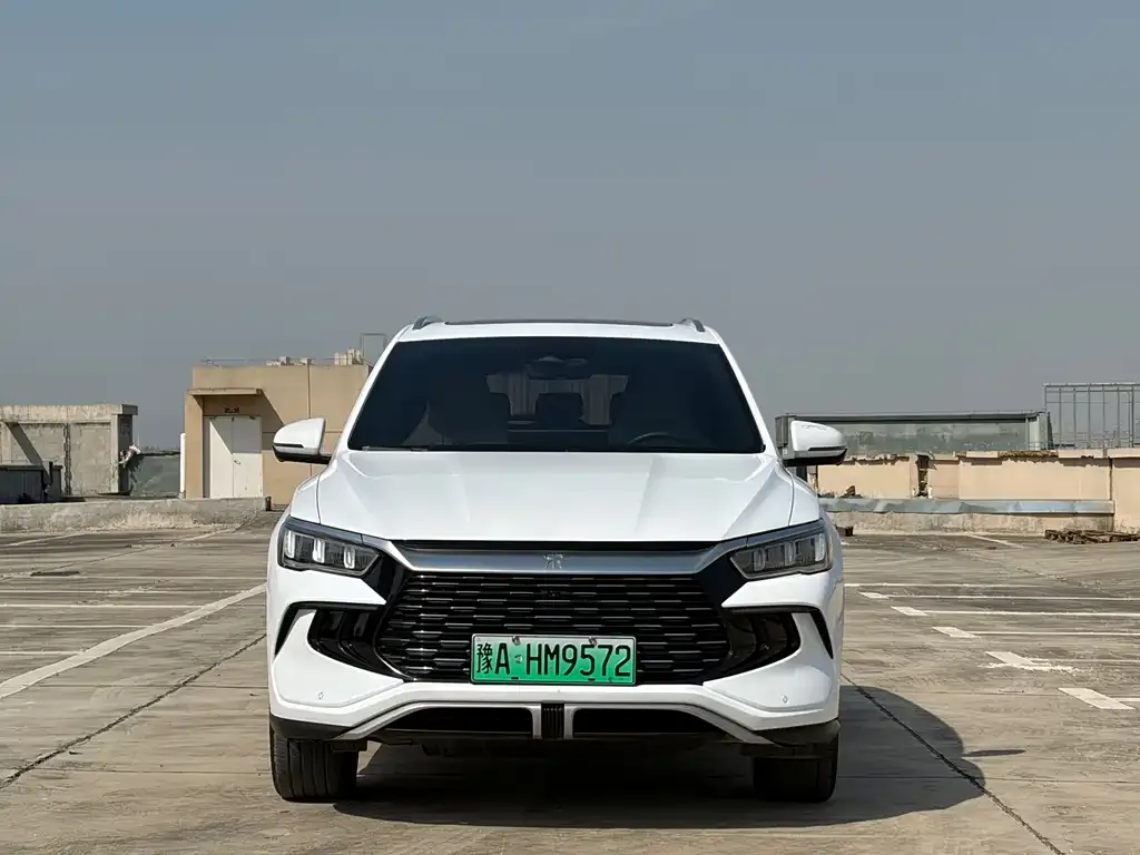 BYD Pro New Energy 2024 из CN, фото 5