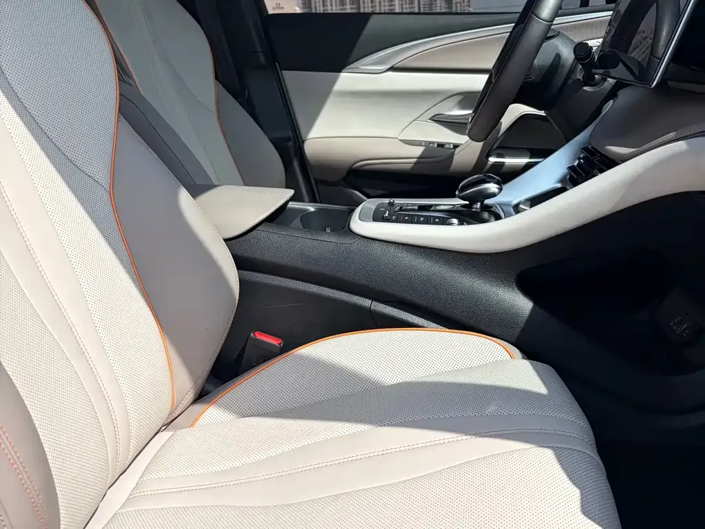 BYD Pro New Energy 2024 из CN, фото 10