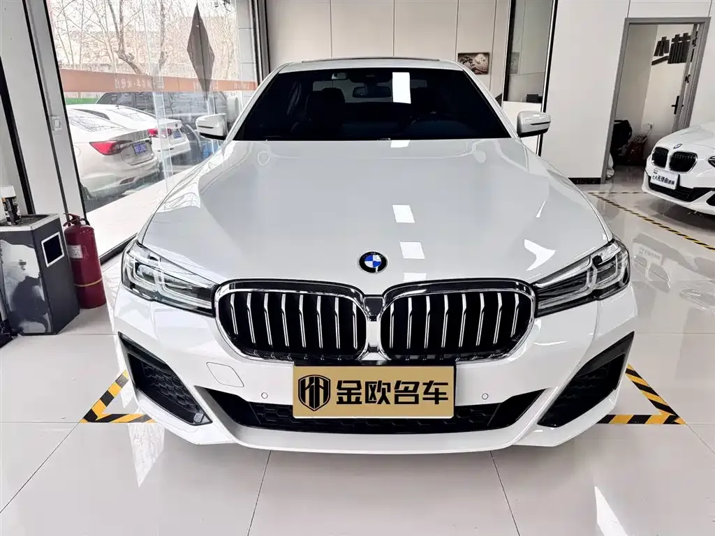 BMW 5 Series 2022 из CN, фото 2