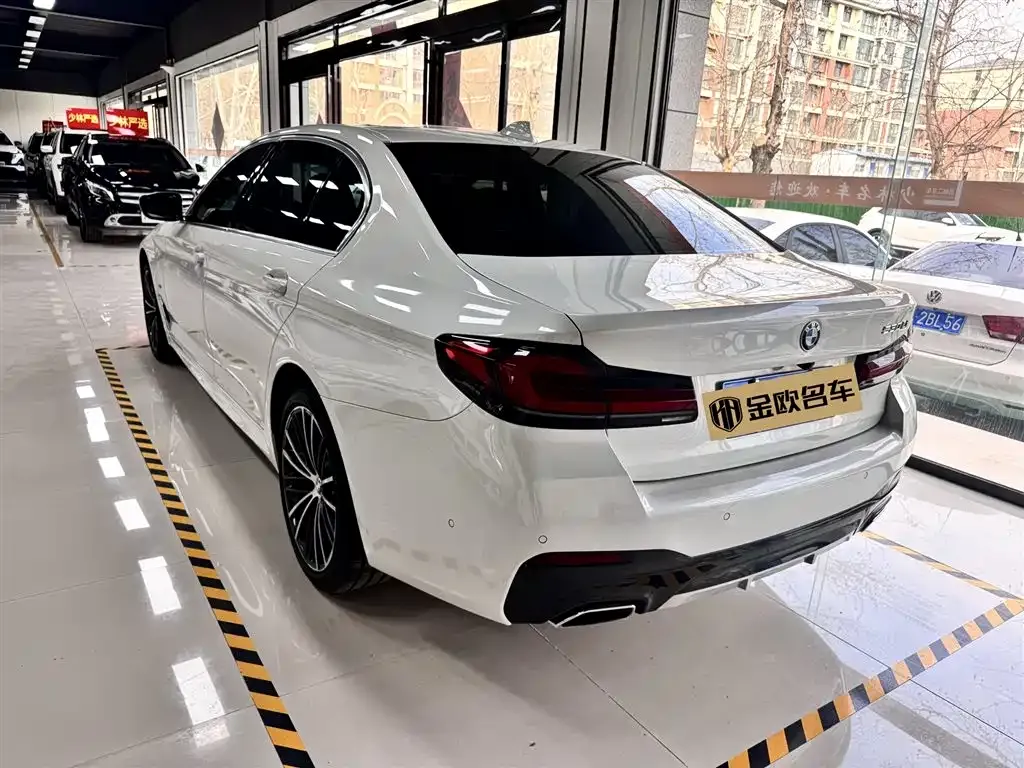 BMW 5 Series 2022 из CN, фото 9