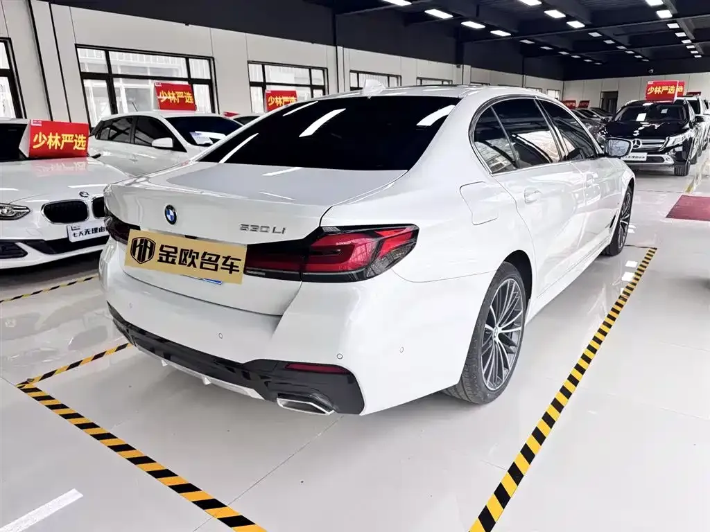 BMW 5 Series 2022 из CN, фото 6