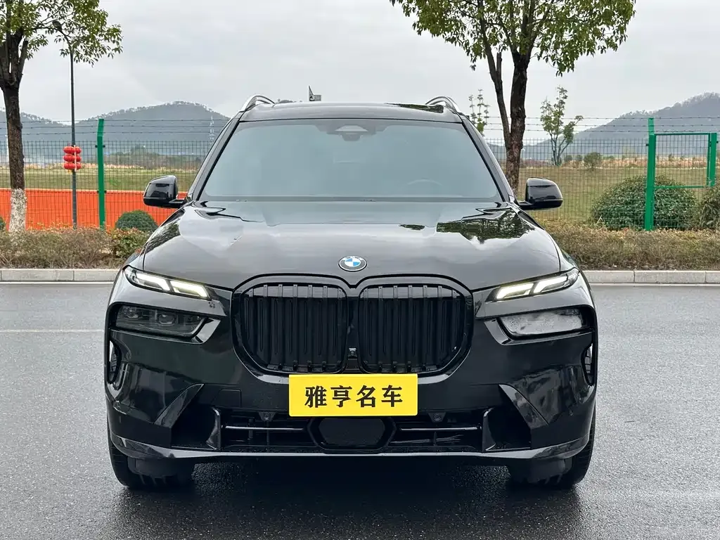 BMW X7 — фото 2