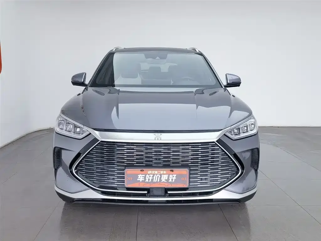 BYD PLUS New Energy — фото 2