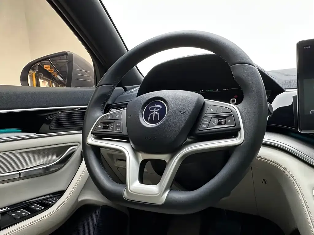 BYD PLUS New Energy — фото 2