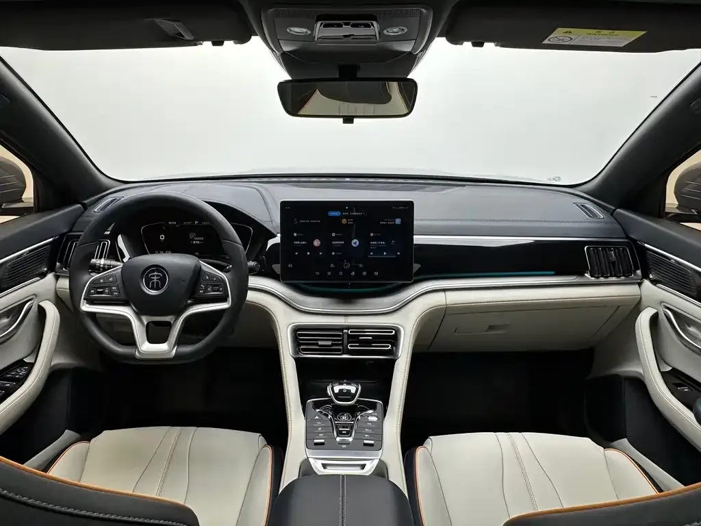 BYD PLUS New Energy — фото 10
