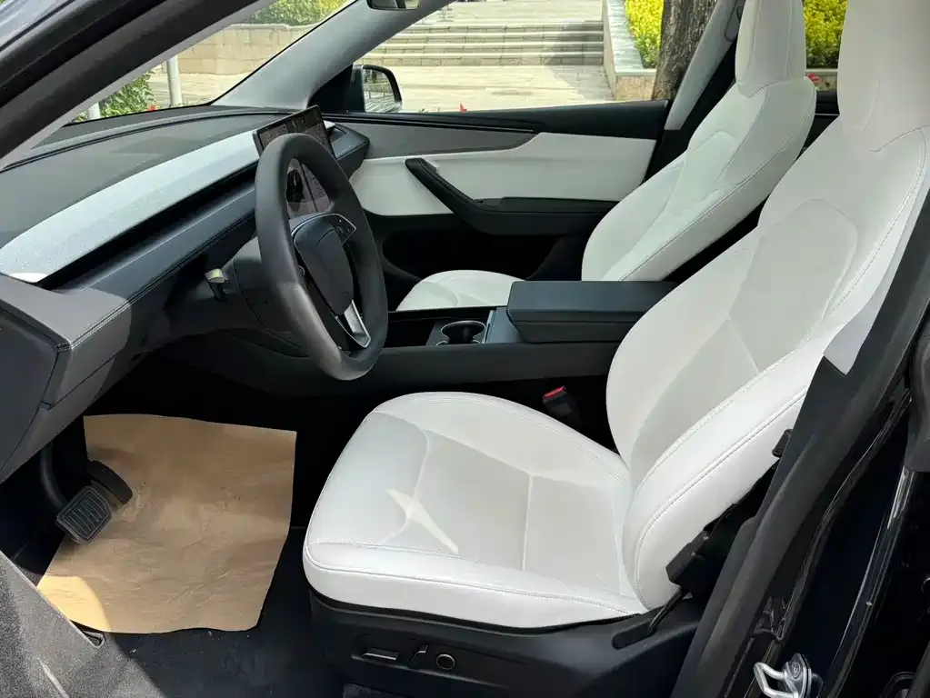 Tesla Model Y 2025 из CN, фото 2