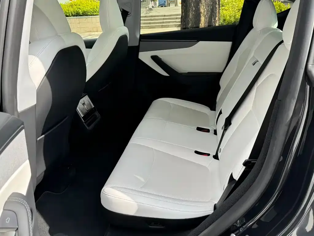 Tesla Model Y 2025 из CN, фото 5
