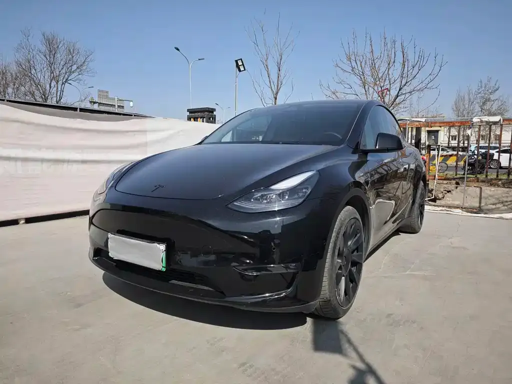 Tesla Model Y — фото 1