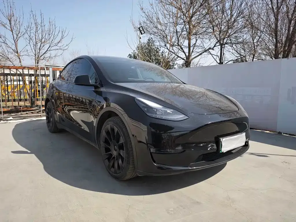 Tesla Model Y — фото 8