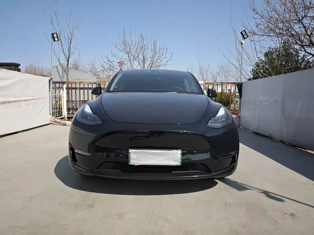 Tesla Model Y — фото 6
