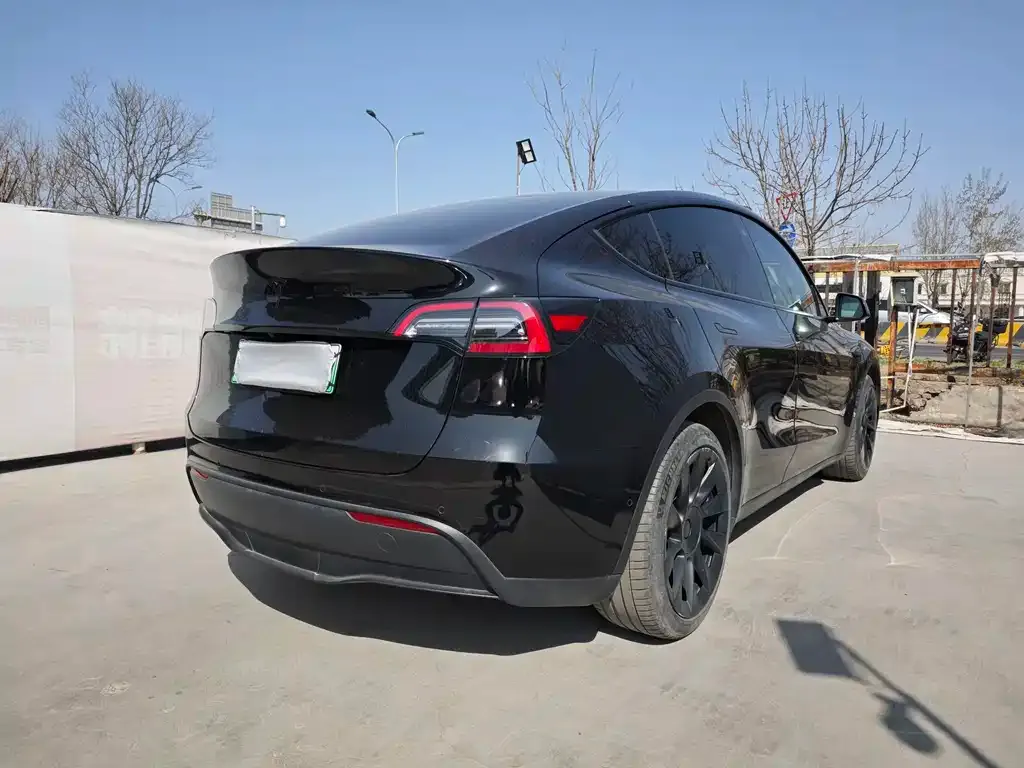 Tesla Model Y — фото 3